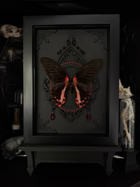 Image 1 of Scarlet Mormon 
