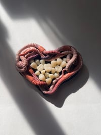 Image 3 of Worm Heart and Teeth Wall Sculpture