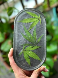 Image 3 of Maryjane Tray 