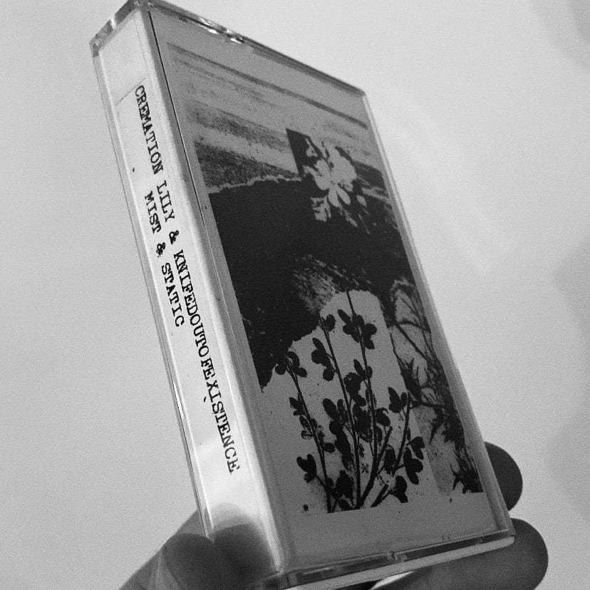 Cremation Lily & Knifedoutofexistence - Mist And Static 