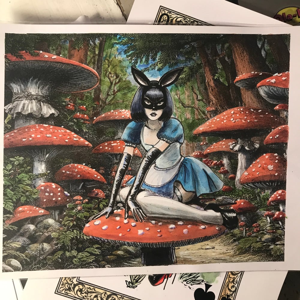 Image of  Alice in wonderland 2