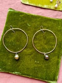Image 2 of Tahitian pearl hoops