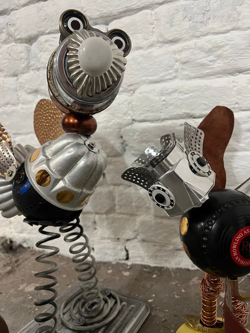 Image of Nudger the bird