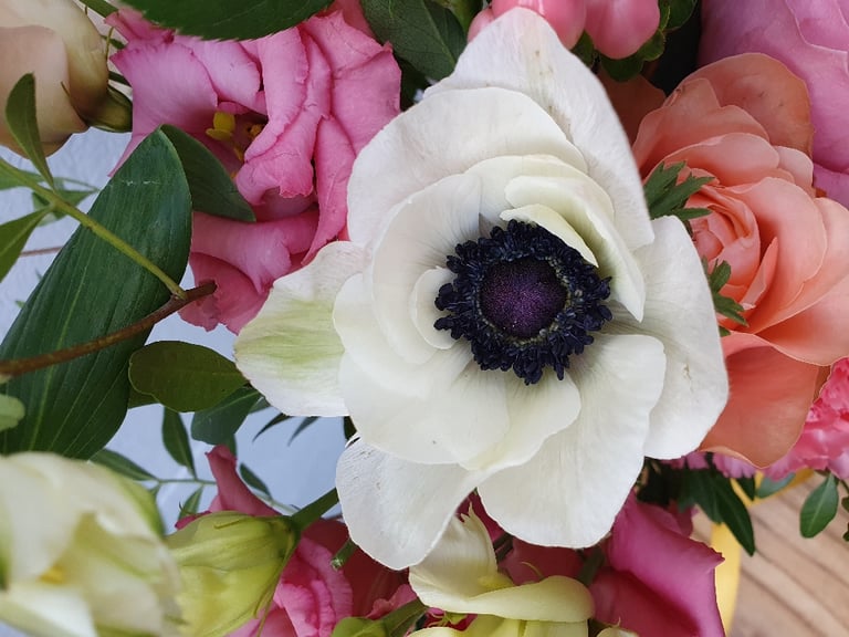 Mother's Day Bunch 2026 💗 Image 3