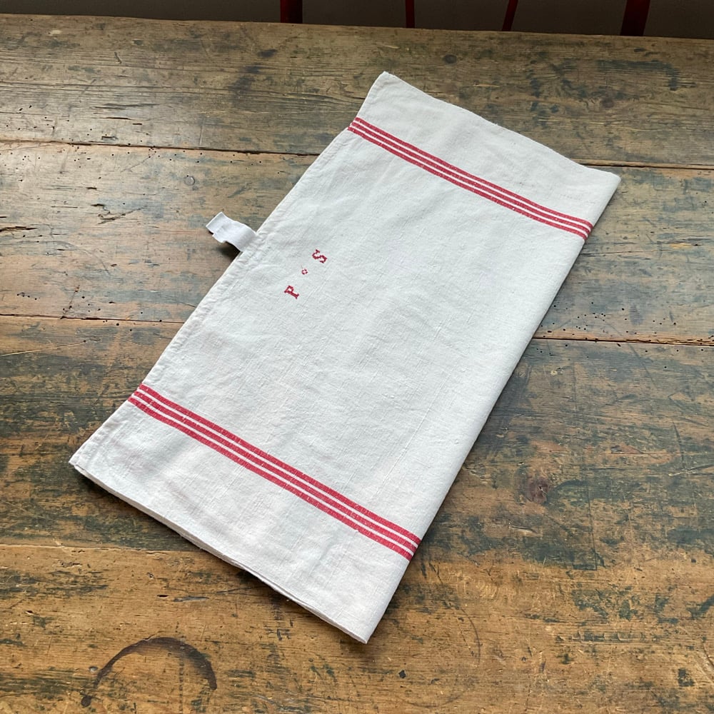 Image of Small Runner