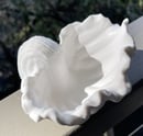 Image 4 of EcoCloud Clam Shell Candle