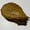 Image of Indian Almond Leaves