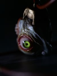 Image 7 of Egg of the King big eyes pendant, leather cord, brass hardware, OOAK,