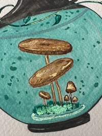 Image 5 of Pote 3/4 - Pote dos cogumelos