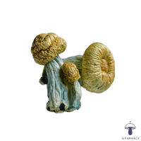 BLUEY VUITTON MAGIC MUSHROOMS