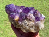 Image 6 of Amethyst Points Cluster |Congo #2909