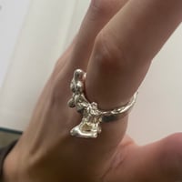 Image 2 of vertebral ring 