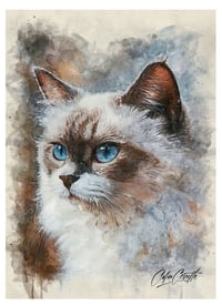 Image 1 of Mystic Radiance