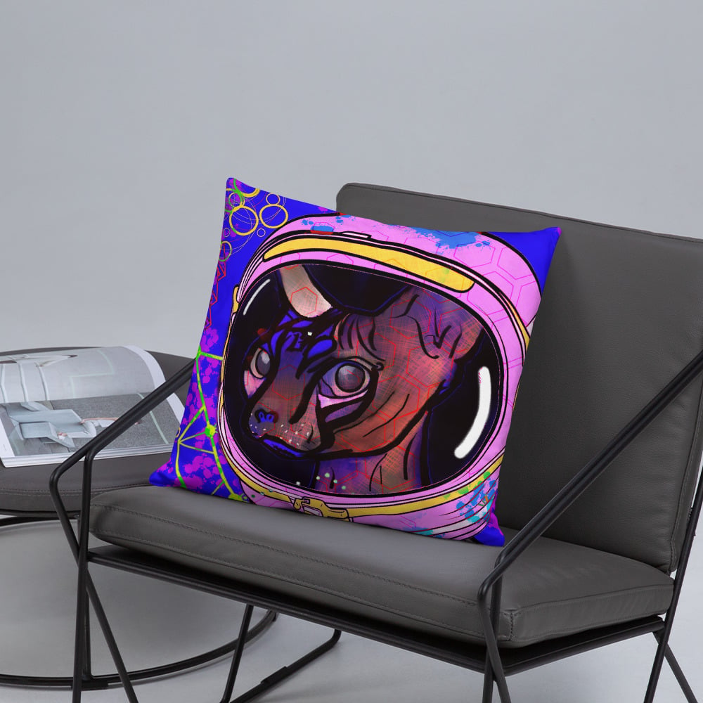 Space Cat/Race Cat Pillow