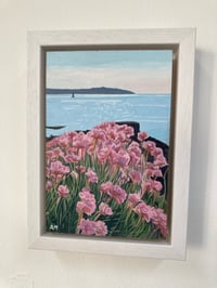 Image 4 of ‘SUMMER IN FALMOUTH’