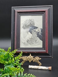 Image 1 of VICTORIAN SPIDER PEOPLE - real Preserved Web -7