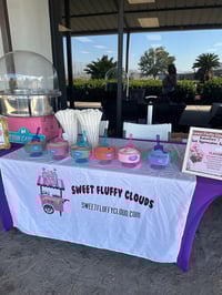 Image 2 of Rental fun 