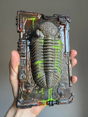 Leaky Trilobite 