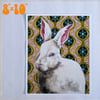 White rabbit print