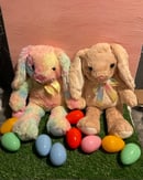 Image 2 of Rainbow Bunny