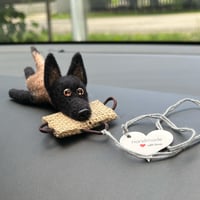 Image 3 of Belgian Malinois (Black Paws)