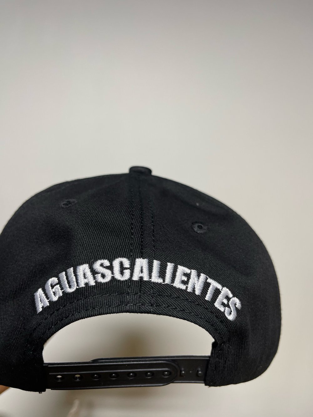 AGUASCALIENTES 