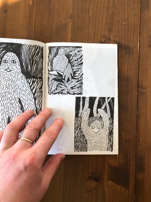 Image of Dan Michiu: Leshiy (Book For Friends)