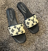 Image 2 of LV Slides