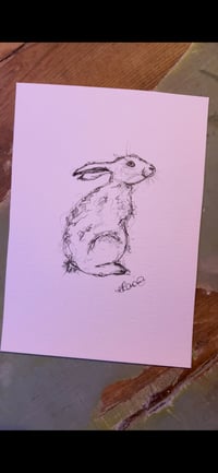 Image 4 of Original Graphite Drawings