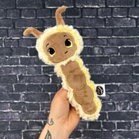 PEANUT- Figgy