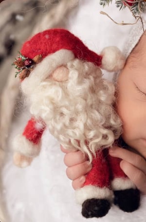 Image of Santa Lovey 