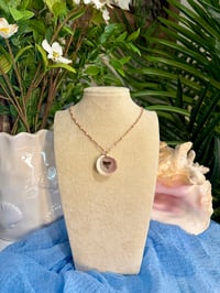 Image 3 of Sharktooth in a Shell Necklace ST116