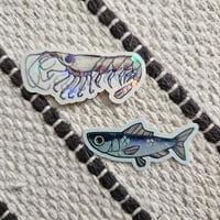Image 3 of Arctic Krill