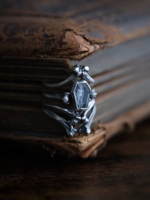 Image of INTO THE GRAVE : MINI RING