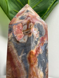 Image 9 of XXL RAINBOW IBIS JASPER TOWER -MADAGASCAR-