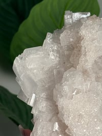 Image 3 of XL WHITE HALITE -MOROCCO- A