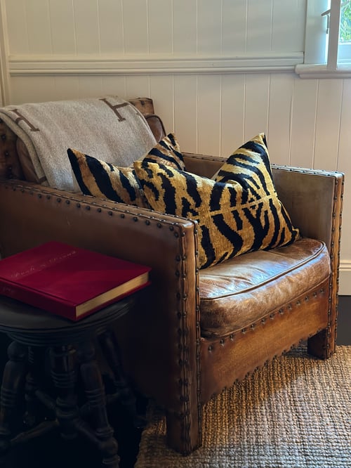 Image of Ikat Velvet Cushion Tiger Stripe