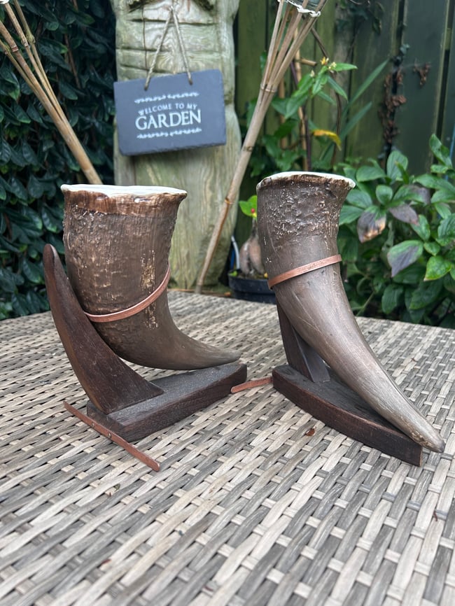 American bison drinking horn