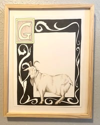 “G” Goat