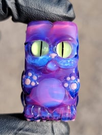 Image 1 of Magenta Blue Cat in the box #1
