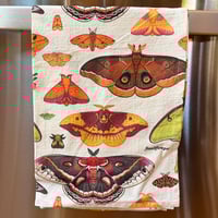 Image 3 of North American Moths Tea Towel