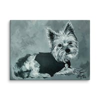 Image 2 of Black and White Yorkie
