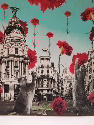 Image of Madrid, Madrid, Madrid. Lluvia de claveles.