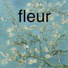 fleur (flower)