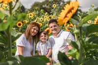 Image 2 of SUN 23rd AUGUST -Sunflower mini session