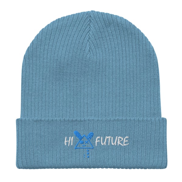 Image of Organic ribbed beanie