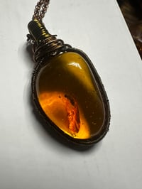 Image 3 of Amber Bug