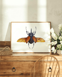 Image 3 of Five Horned Rhino Beetle Watercolor Illustration PRINT 