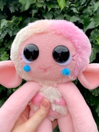 Image 2 of Rosey the Jumbo Sheep