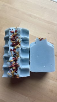 Image 1 of Blue Agave